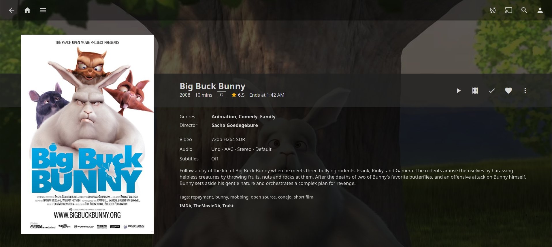 Jellyfin playback screenshot